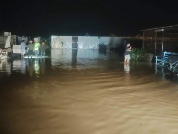 Photos: Furkids Sanctuary