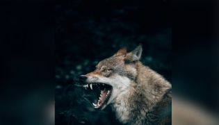 Representational photo