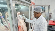 Municipality Ministry representative inspecting the sacrificial animal at slaughterhouse during Eid holiday