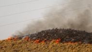 Flames stretching along a hillside are pictured in the area of a wildfire that killed at least 12 people near Bedar, in Los Gallardos district, in Almeria Province, on July 11, 2026.  (Photo by JORGE GUERRERO / AFP)