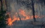 A wildfire rages in a mountainous area near the town of Al Hachimia, Bouira Province, on July 21, 2026. (Photo by AFP)