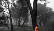 A large pine tree with its hollowed trunk still burning from the inside, is seen in a scorched forest following a wildfire near La Adrada, 95 kilometres west of Madrid, on July 27, 2026. (Photo by Miguel RIOPA / AFP)