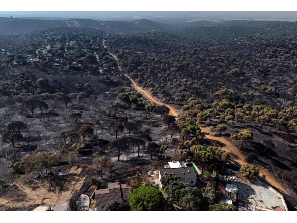 his general aerial view taken with a drone shows a burnt forest in Pelayos de la Presa, 65 kilometres west of Madrid, following devastating wildfires in the region on July 30, 2026.  (Photo by OSCAR DEL POZO / AFP)