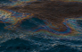 Pictures shared by the Ministry of Climate Change and Environment - UAE