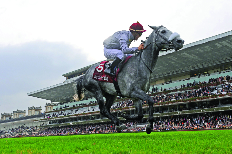 The champion of Shaqab Racing, Al Mourtajez in action in this file photo.