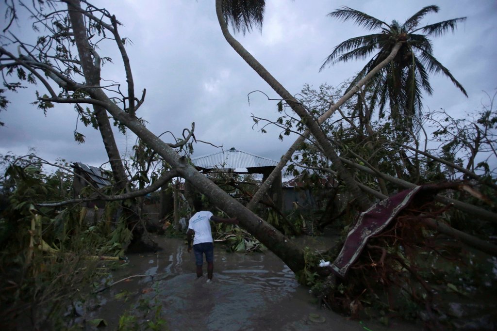 A man walks amongst trees damaged by Hurricane Matthew in Les Cayes, Haiti, October 5, 2016. REUTERS/Andres Martinez Casares