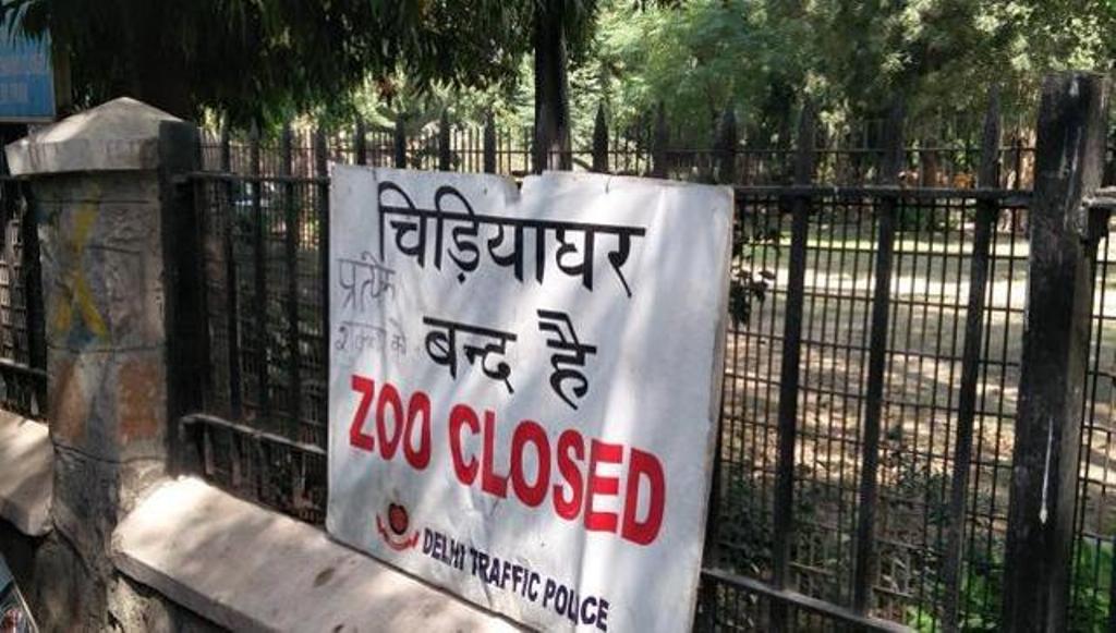 Delhi zoo has been temporarily shut down after nine birds die due to flu. (Ritam Halder/HT?Photo).