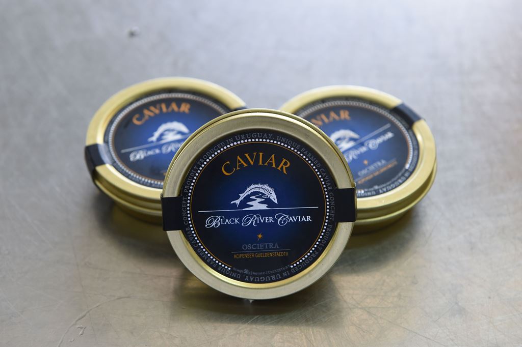Cans of caviar produced at the sturgeon farm in Baygorria, 270km north of Montevideo, on August 31, 2016. AFP / MIGUEL ROJO