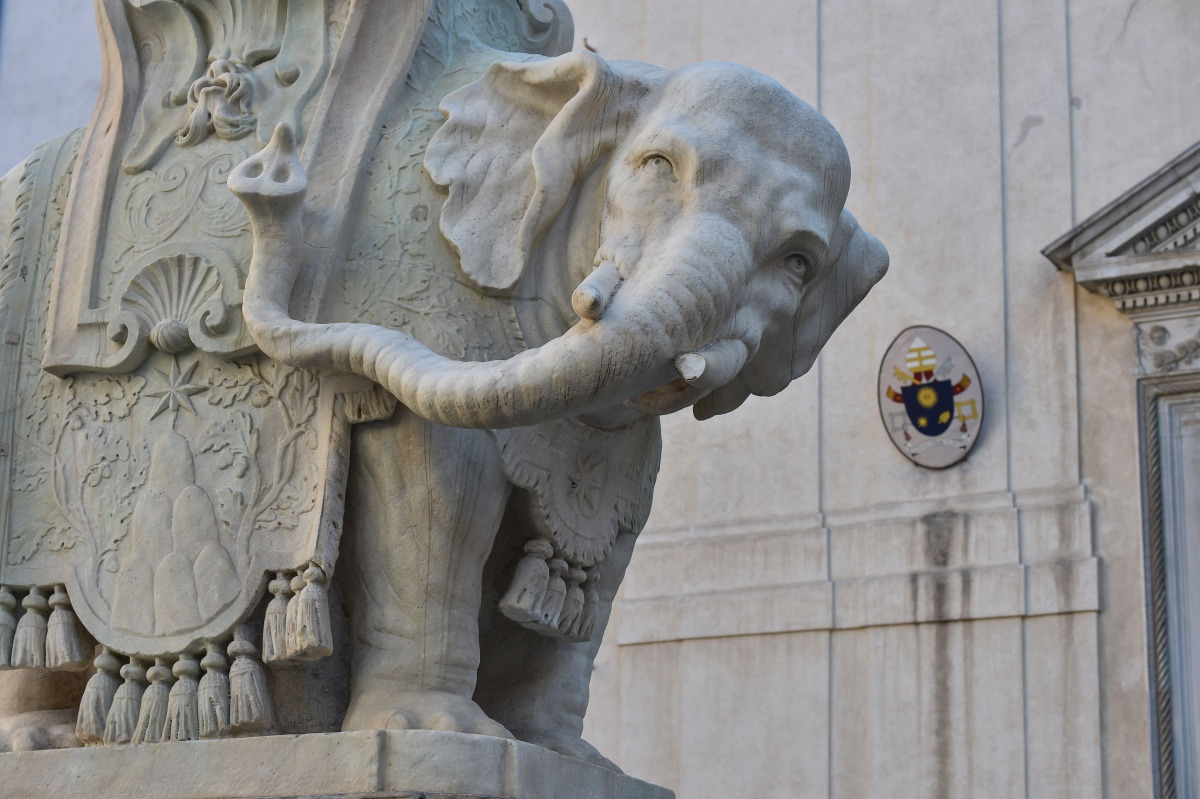 A picture shows the Elephant statue of Bernini with a tusk detached after an overnight incident, on 15 November, 2016 at Piazza della Minerva in Rome. Police are examining CC-TV footage in a bid to identify vandals who damaged one of the city's most famou