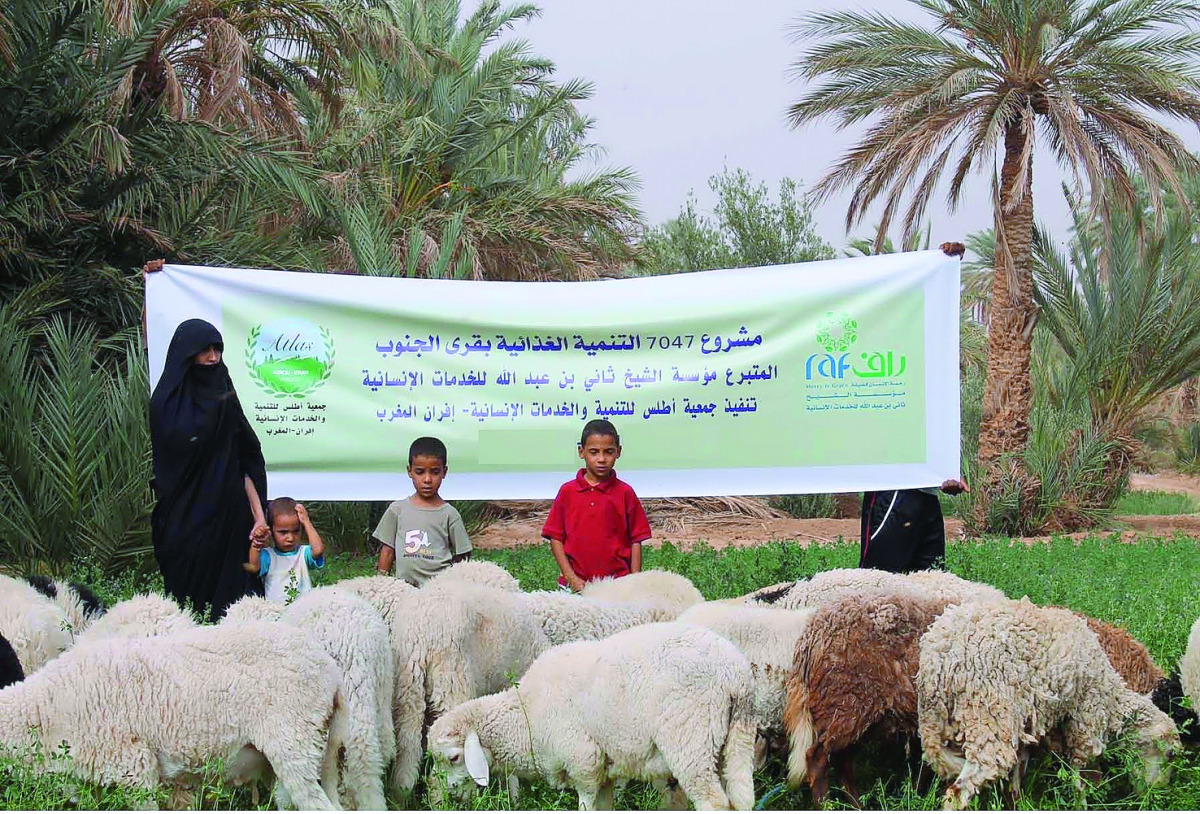 A widow and her children with sheep provided by RAF for breeding under income generation project implemented in Morocco.