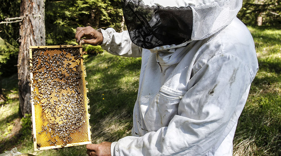 REPRESENTATIVE IMAGE: Reuters / Dominic Ebenbichler