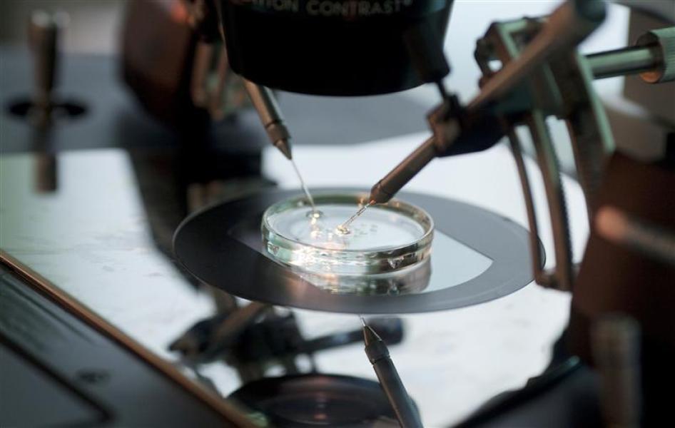 A doctor injects sperm directly into an egg during an in-vitro fertilization (IVF) procedure at a clinic in Warsaw October 26, 2010. REUTERS/Kacper Pempel