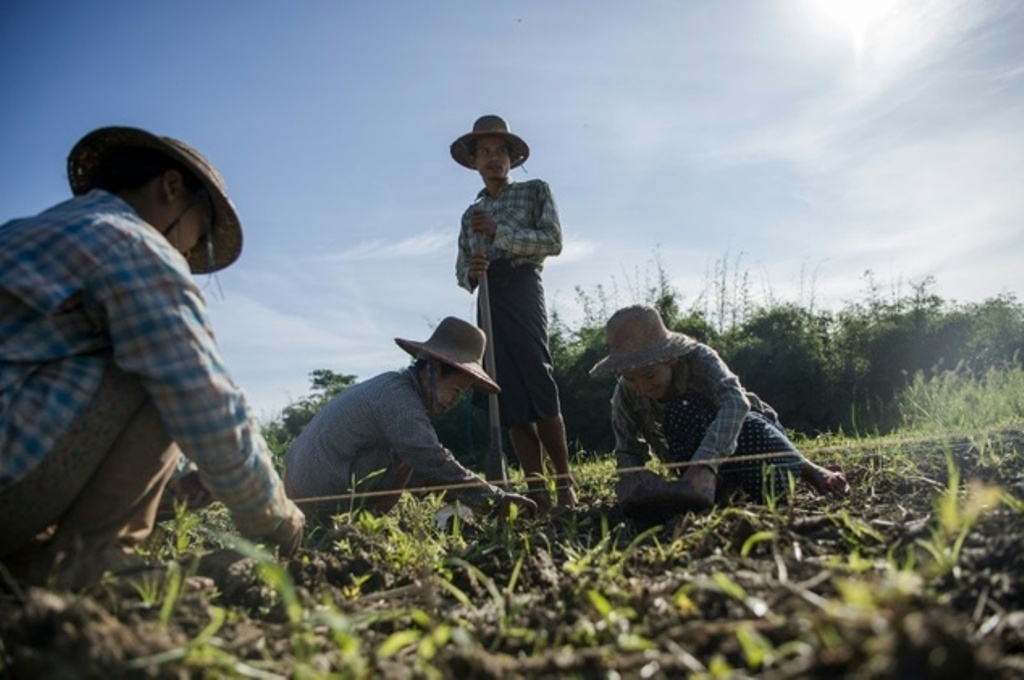 Land ownership is one of the most contentious issues in Myanmar, where the army stands accused of rampant land-grabbing during its 50-year rule ©Ye Aung Thu (AFP/File).