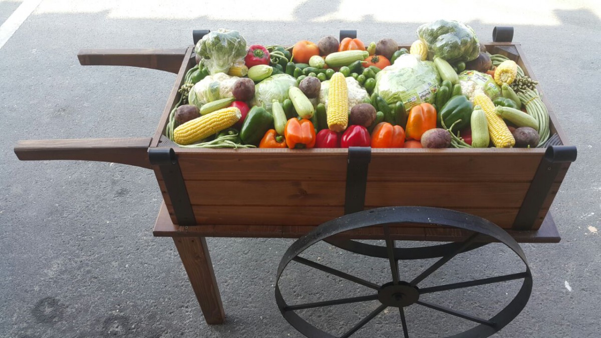 File picture of local vegetables at Mahaseel festival held recently at Katara.  