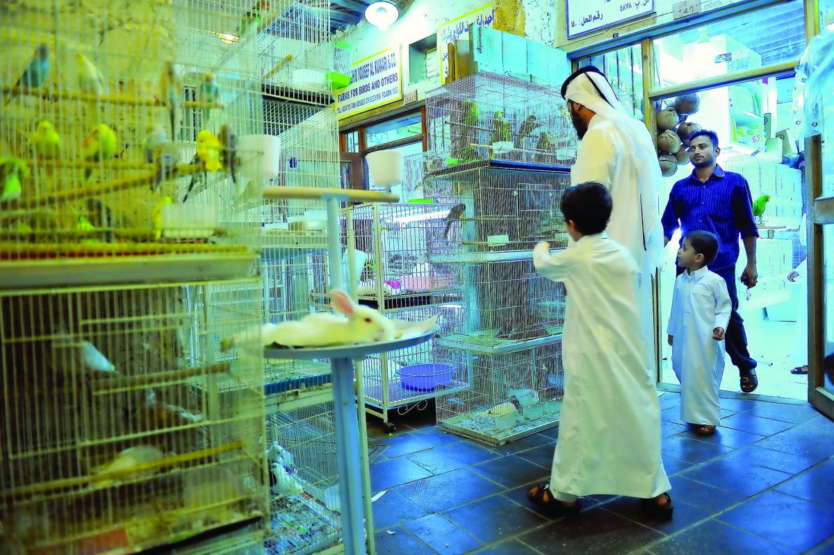A pet shop at Souq Waqif.