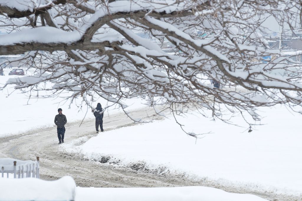 Afghan men make their way down a snow-covered street in Kabul on February 5, 2017. Avalanches and freezing weather have killed more than 20 people in different areas of Afghanistan, officials said on February 4, as rescuers worked to save scores still tra