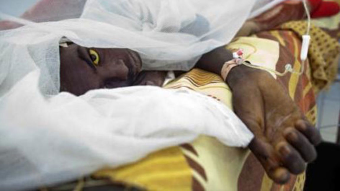 Brazil yellow fever toll worst on record government The Peninsula Qatar