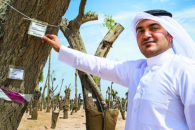 An official showing a donated tree.