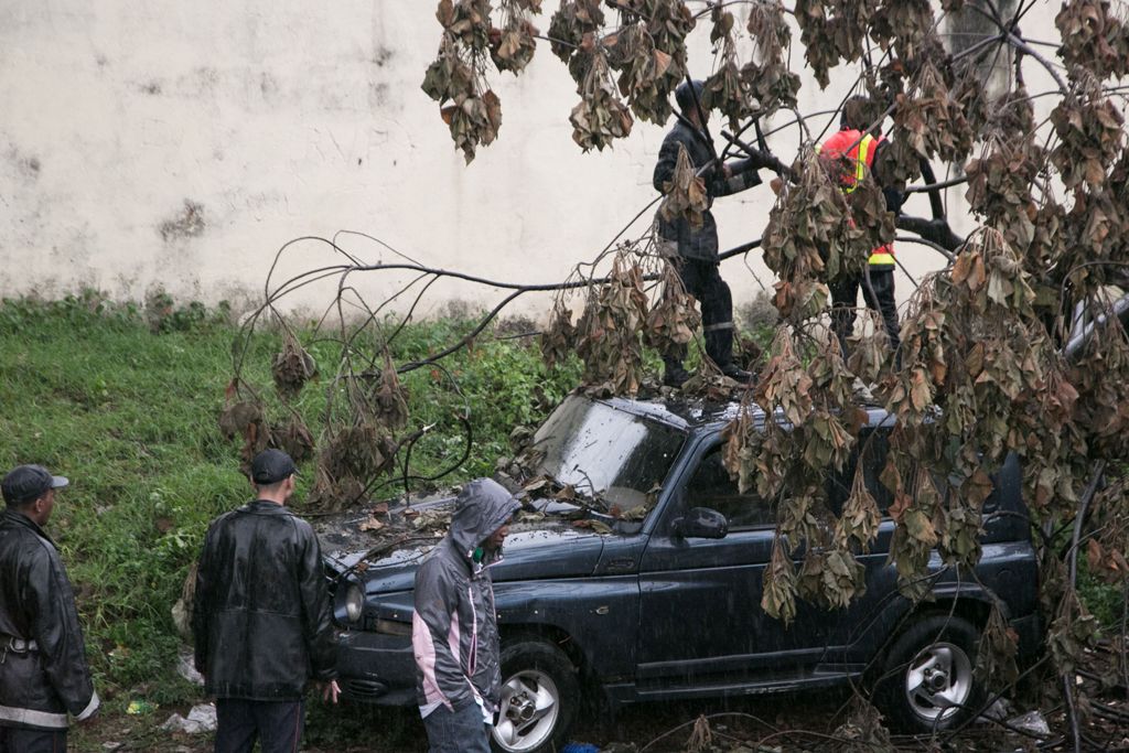 Malagasy firefighters work to remove a fallen tree from a car caused by tropical cyclone Enawo in Antananarivo, Madagascar, on March 8, 2017.  AFP / RIJASOLO
