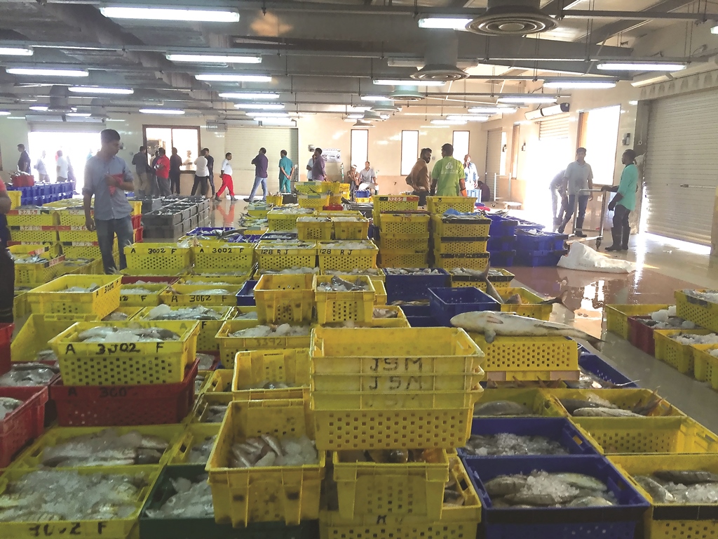 File photo of fishermen preparing their stocks for auction at the fish market at the Central Market Doha.