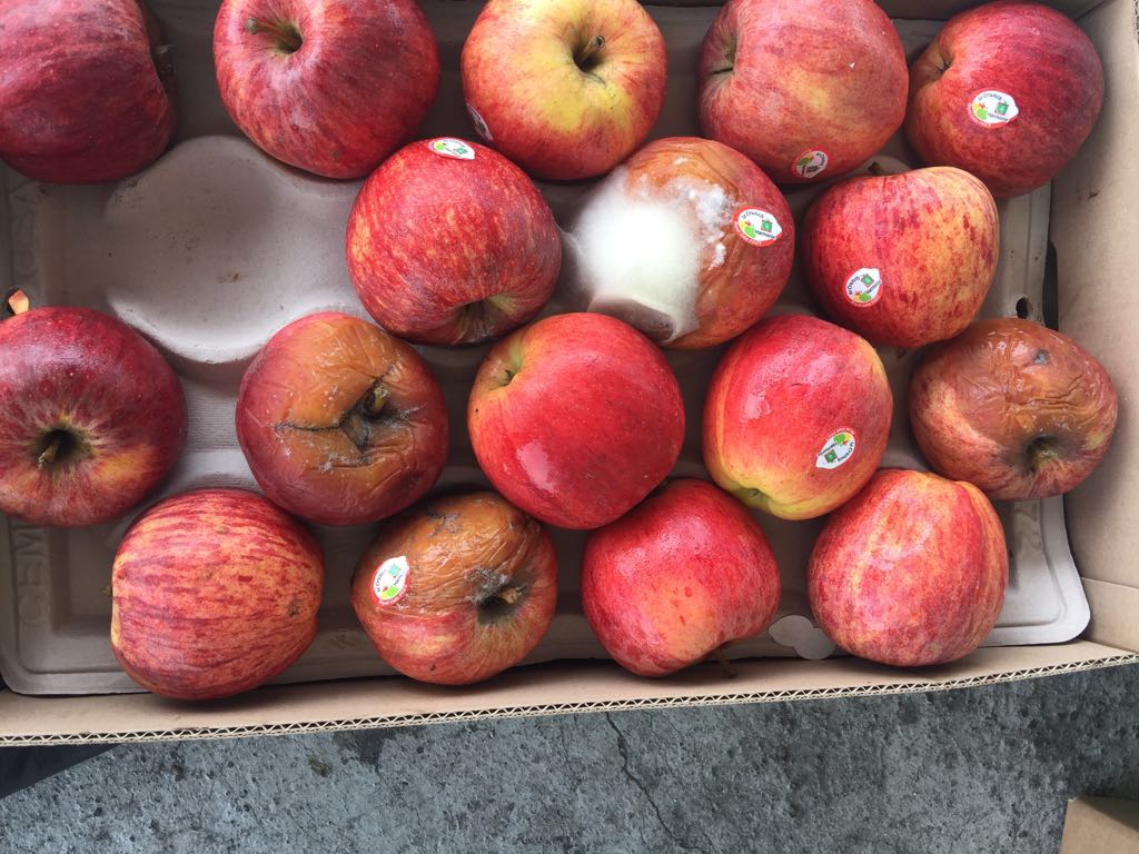 Apples seized by officials.