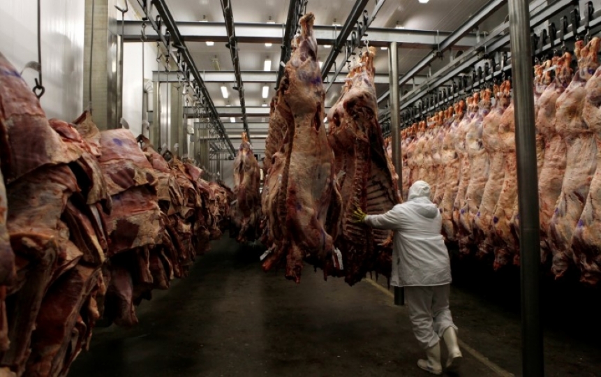 A worker arranges slaughtered cattle in the freezing room in the Marfrig Group slaughter house in Promissao, 500 km northwest of Sao Paulo, October 7, 2011 (REUTERS / Paulo Whitaker) 