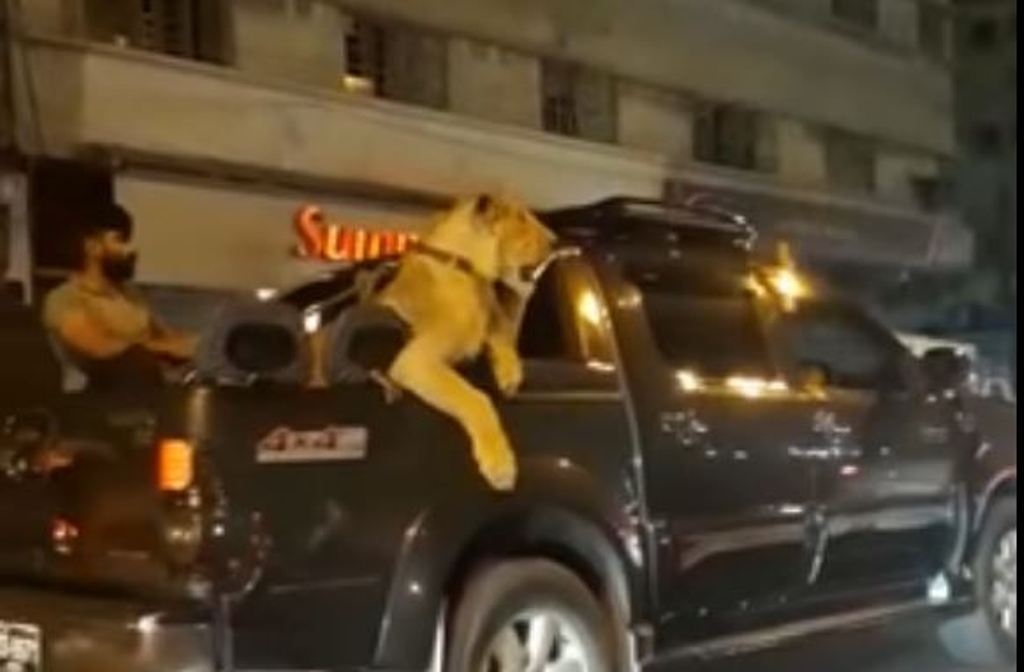 Video Still