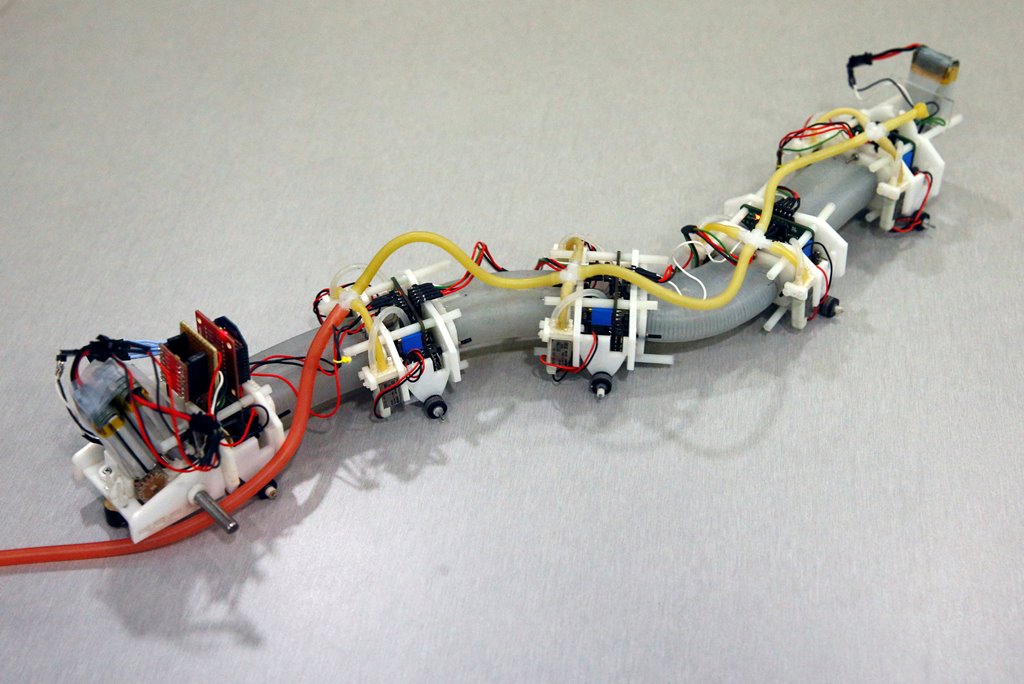 A soft robot designed in the form of a salamander is displayed in Singapore June 5, 2017. Picture taken June 5, 2017. REUTERS/Edgar Su
