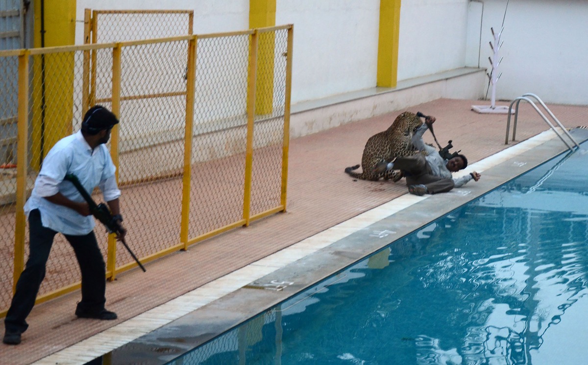 This file photo taken on February 7, 2016 shows an Indian man (L) with a tranquilizer gun watching as a leopard attacks a man identified by Indian media as wildlife conservationist Sanjay Gubbi (R) at a private school on the outskirts of Bangalore. (AFP)