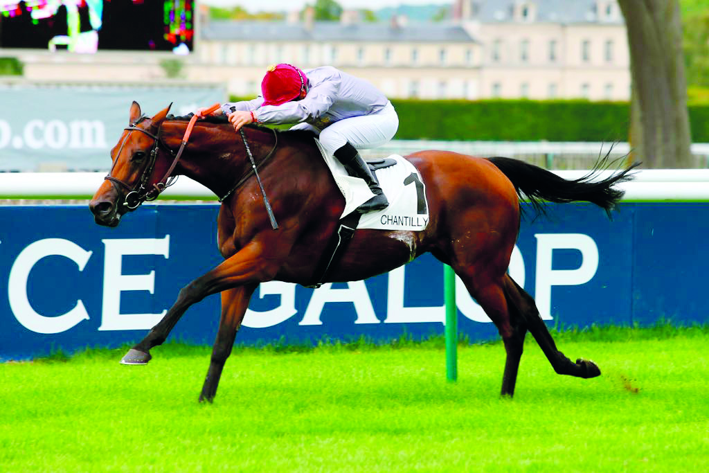 Al Shaqab Racing’s Karar on his way to win the Prix du Pin (Gr3) in Chantilly, France on Sunday. 
