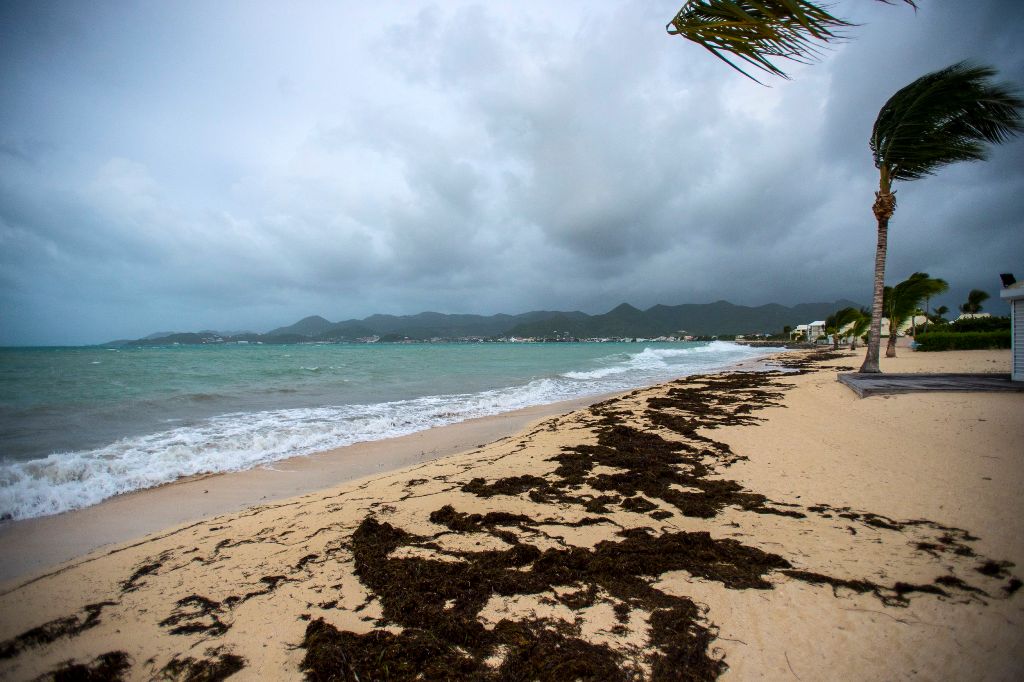 A picture taken on September 5, 2017 shows a view of the Baie Nettle beach in Marigot, with the wind blowing ahead of the arrival of Hurricane Irma. / AFP.