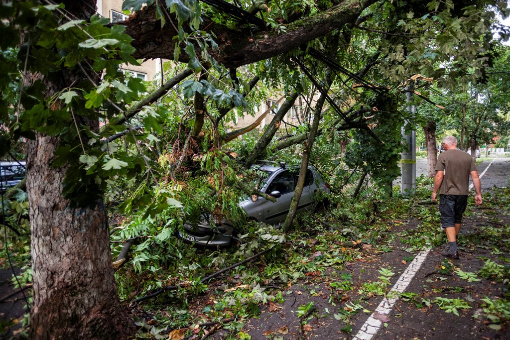 A man walks near a car that was hit by a falling tree following a storm that tore through western Romania, in Timisoara, Romania September 17, 2017. / Reuters.