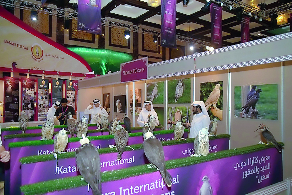 Falcons on display at the inaugural edition of the Katara International Hunting and Falcons Exhibition, S’hail, 2017 which opened yesterday.