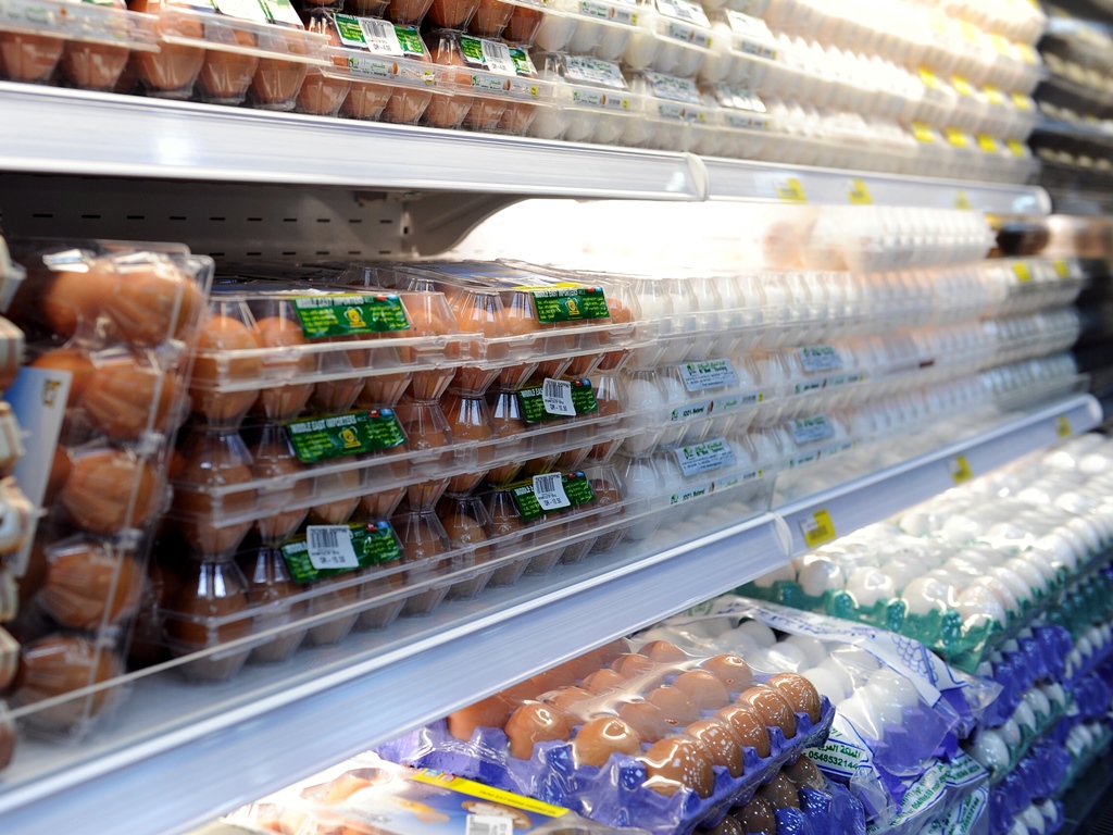 File picture used for representation. 