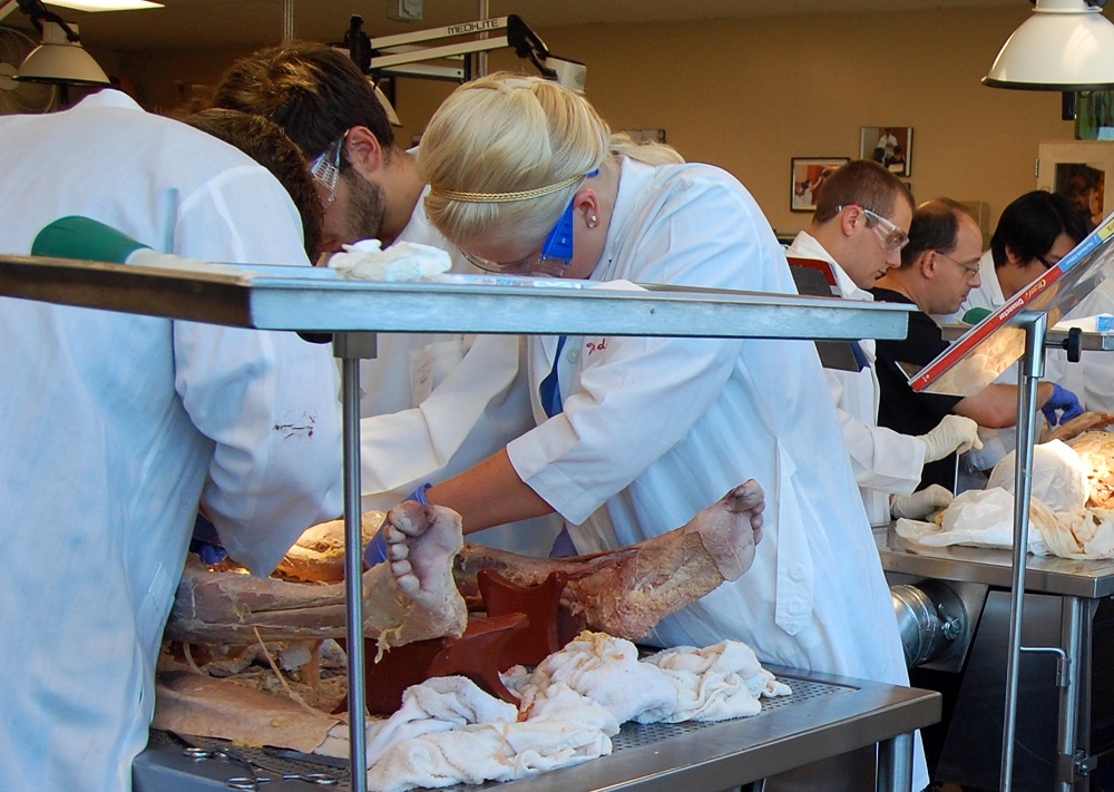REPRESENTATIVE IMAGE: Volunteers at the University of Indiana prepare cadavers for the incoming class of medical students, in Gary, Indiana, August 5, 2010. Reuters/James Kelleher