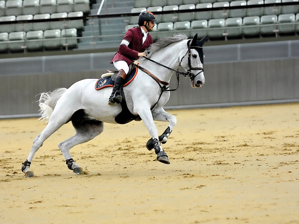 Hamad Nasser Al Qadi, astride  St Lucia during the two-phased 130-140cm class in Big Tour competition of Hathab Series at Al Shaqab Arena yesterday. Pictures: Lotfi Garsi

