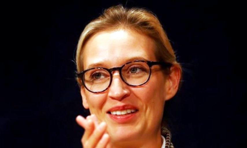 Alice Weidel (Reuters file photo)