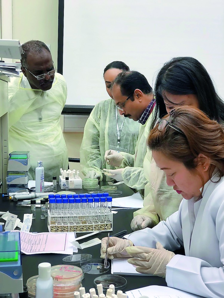 Researchers during the workshop.