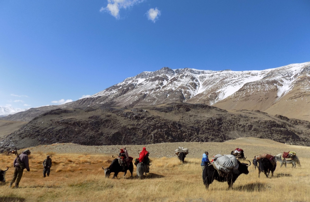 This photograph taken on October 7, 2017 shows Afghan Wakhi nomad families travelling on yaks in the Wakhan Corridor in Badakhshan province of Afghanistan.  AFP / Gohar Abbas 
