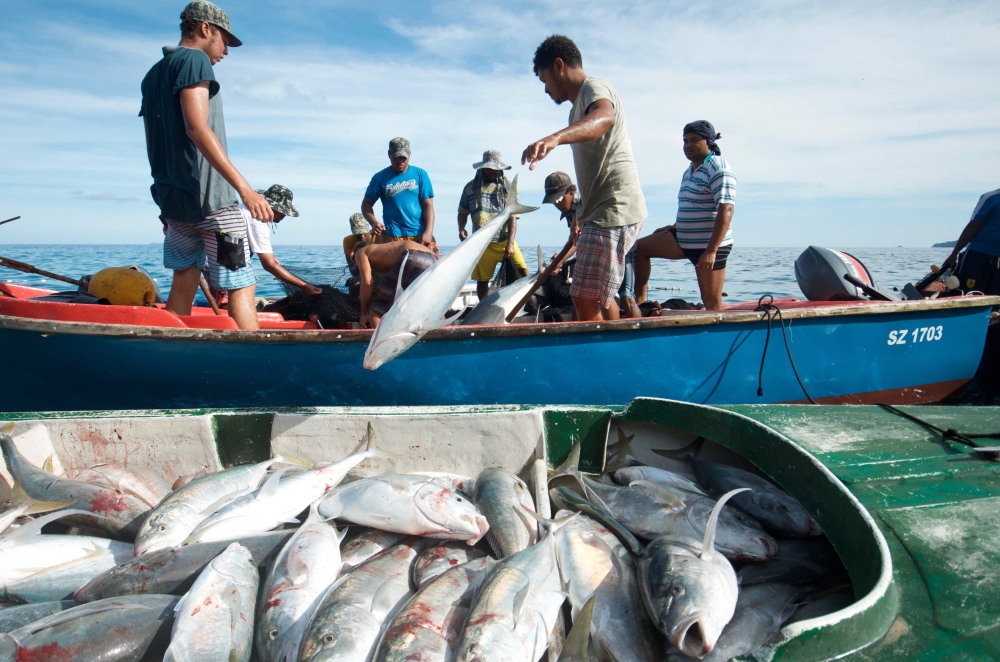 Fishermen pulling in fish caught in their nets off the coast of Mahe, in the Seychelles islands on February 21, 2018.  AFP Photo / The Nature Conservancy/Tate Drucker