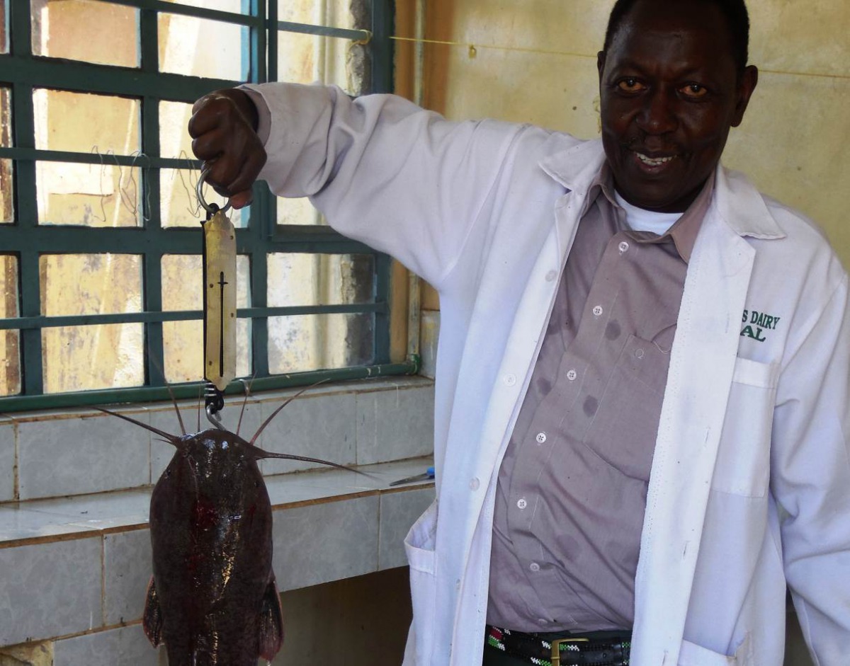 A fish farmer weighs a harvested catfish in Meru County, Kenya, April 25, 2018. Thomson Reuters Foundation/Caroline Wambui
