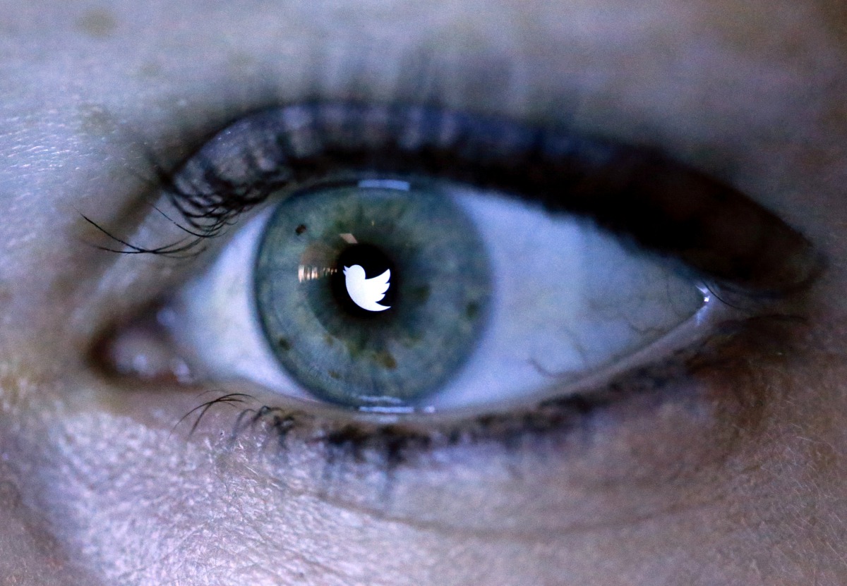 An illustration picture shows the Twitter logo reflected in the eye of a woman in Berlin, November 7, 2013. (Reuters / Fabrizio Bensch) 