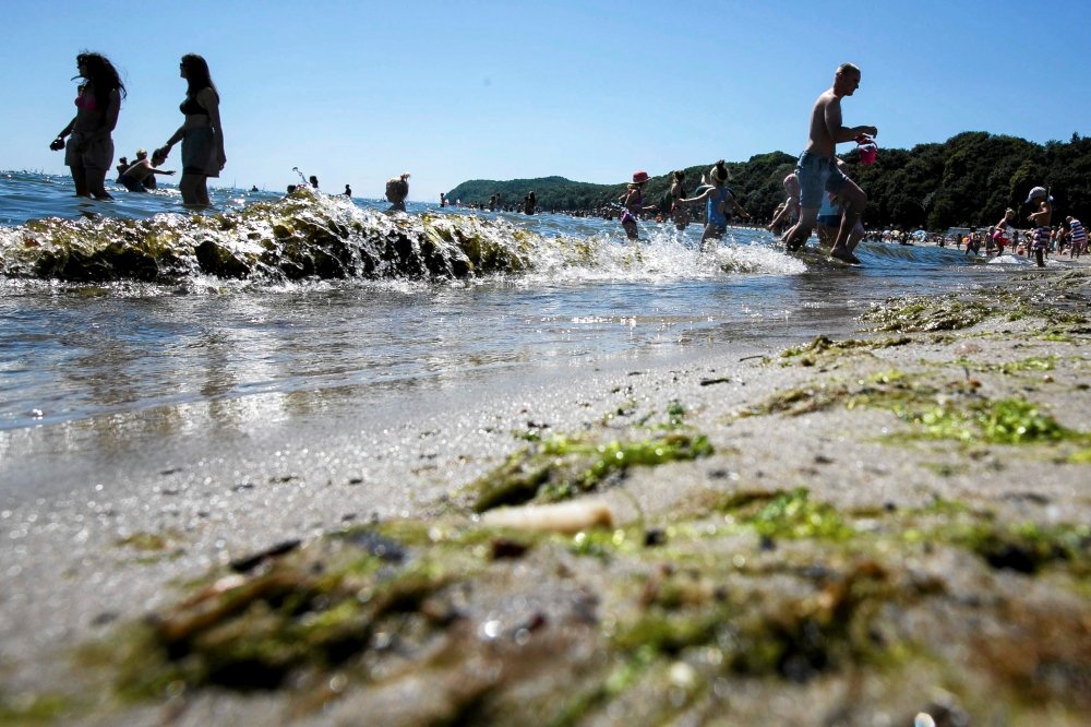 Toxic algae are seen on the beach in Gdynia, Poland, July 3, 2015. Lukasz Glowala/Agencja Gazeta/via Reuters