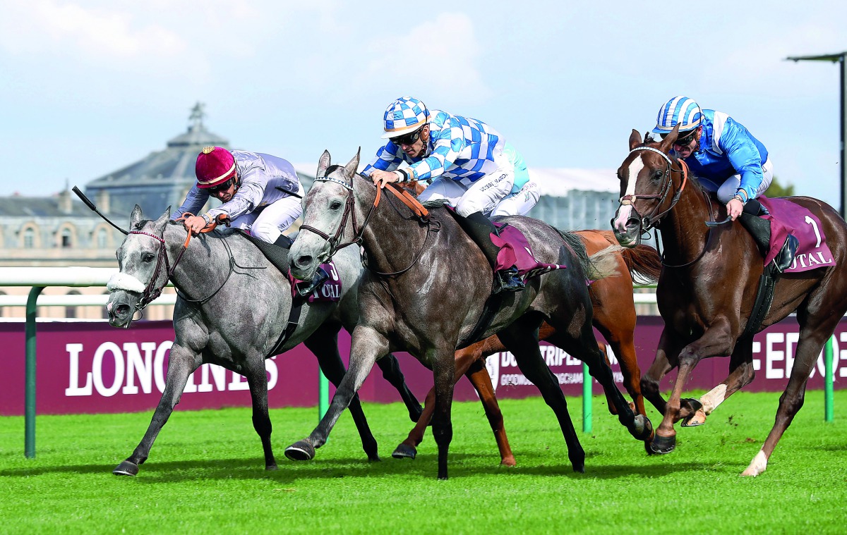Muneera, winner of  Qatar Total Arabian Trophy Des Juments 1 in action in this file picture.