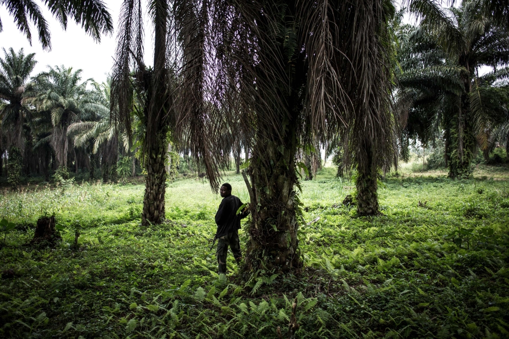 A soldier from the the Armed Forces of the Democratic Republic of the Congo (FARDC) standing in position outside an FARDC camp during a patrol in Beni on November 13, 2018.  AFP / John Wessels 

 