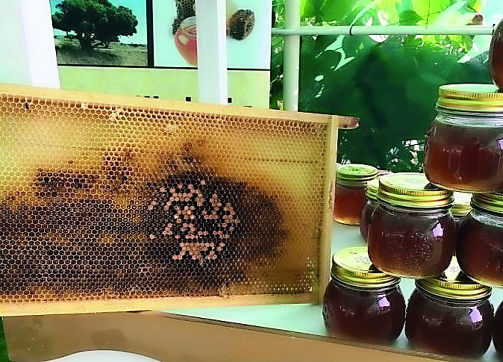 Locally produced honey at a farm in Qatar. (FILE PHOTO) 
