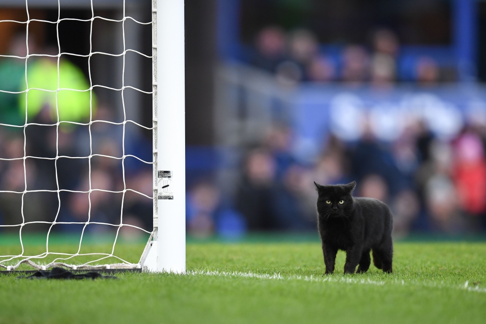 A black cat is seen on the pitch as it stops play during the English Premier League football match between Everton and Wolverhampton Wanderers at Goodison Park in Liverpool, north west England on February 2, 2019. AFP / Paul Ellis