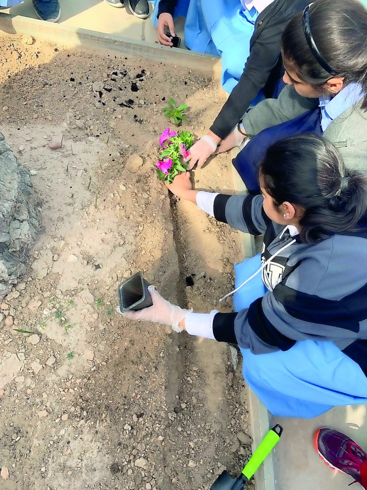 Students planting flower plants to mark Qatar Environment Day.