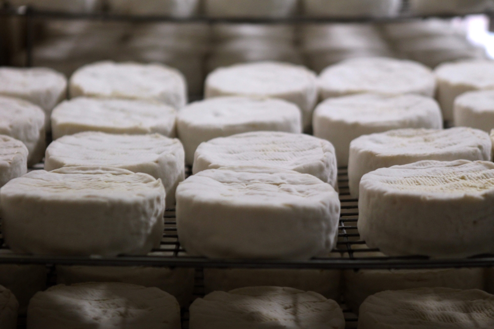 Camembert cheeses stored to ripen at a cheese farm in the French northwestern village of Camembert in Normandy, where the Camembert cheese originated on April 11, 2013. AFP / Charly Triballeau 