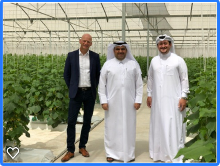 Ivan de Witte, Managing Director of Yara Middle East; Abdulharman Al Obaidan, Al Waha Farm owner; and Nasser Al Khalaf, Managing Director of Agrico at Al Waha hydroponics farm.